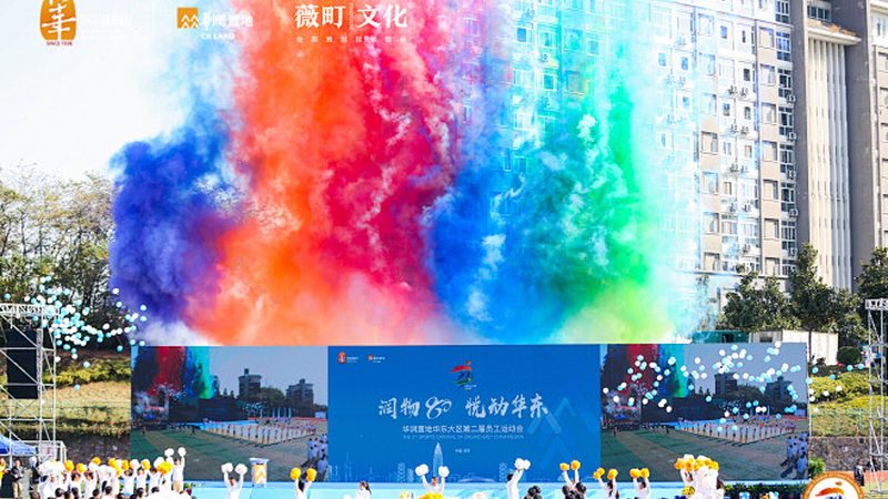 VI设计效果图：揭秘设计背后的逻辑与技巧